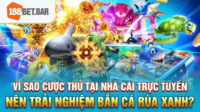 Vì sao cược thủ tại nhà cái trực tuyến nên trải nghiệm bắn cá Rùa Xanh_